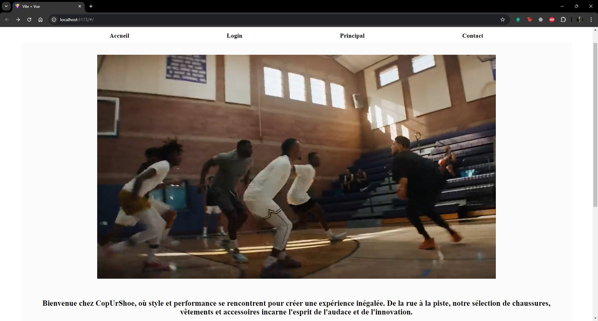 Screenshot Projet 5